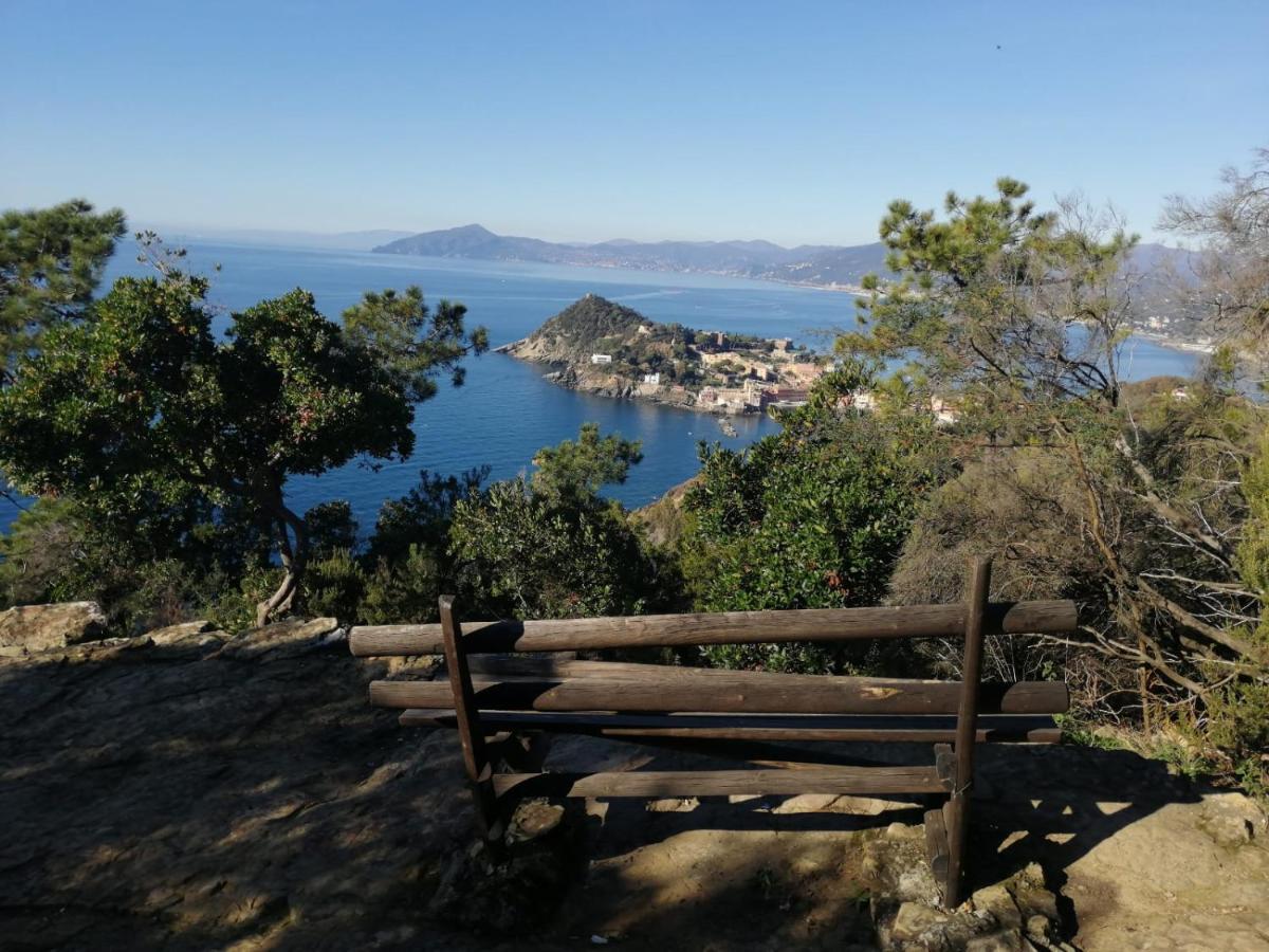 Hotel Sereno Sestri Levante Zewnętrze zdjęcie